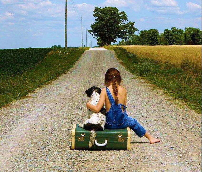 Kita akan pergi bersama, anjing, gadis kecil, koper, jalan pedesaan, jalan keluar, pohon, ladang, teman Wallpaper HD