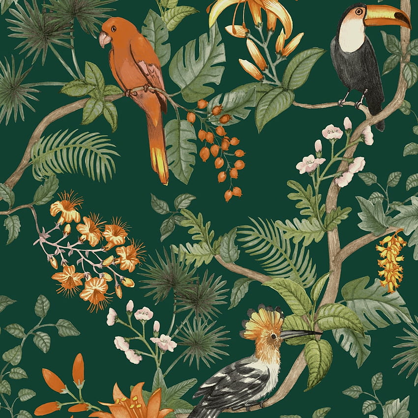 Tempaper Birds of Paradise Rainforest Green Peel and Stick, 56 Quadratfuß in der Abteilung, Jungle Green HD-Handy-Hintergrundbild