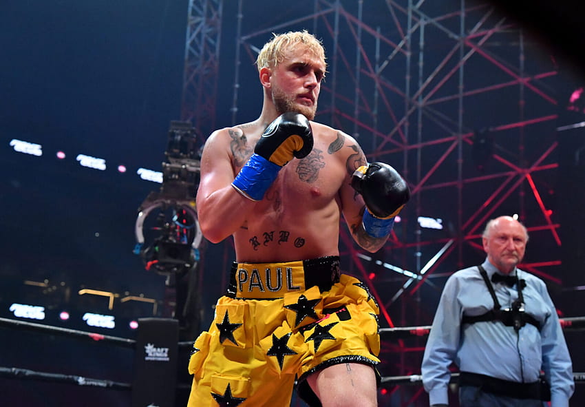 What Is Jake Paul's Boxing Record? HD wallpaper