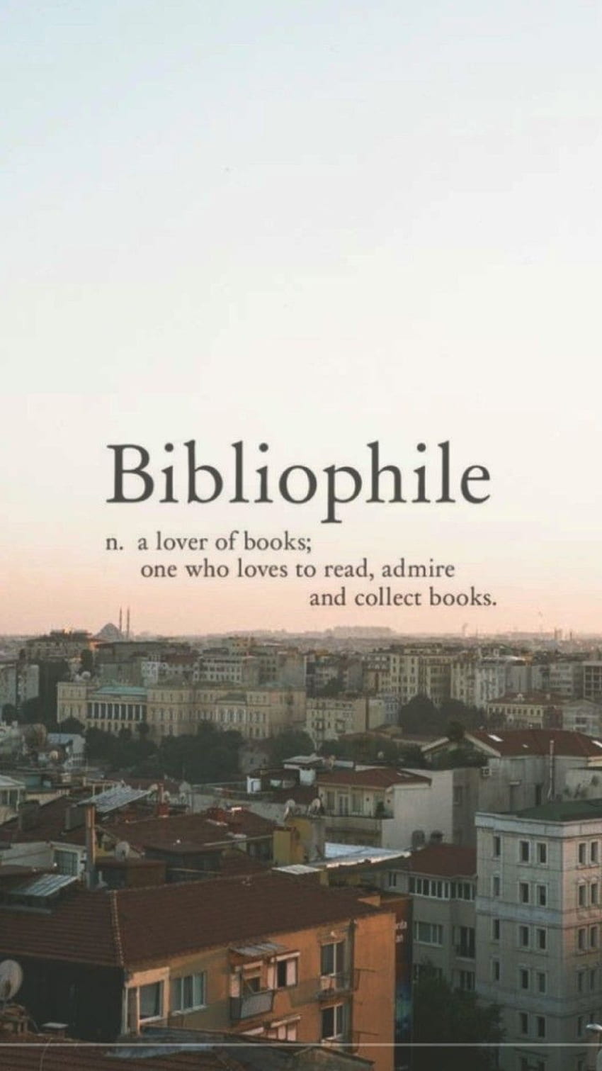 About tumblr in, Bibliophile HD phone wallpaper | Pxfuel