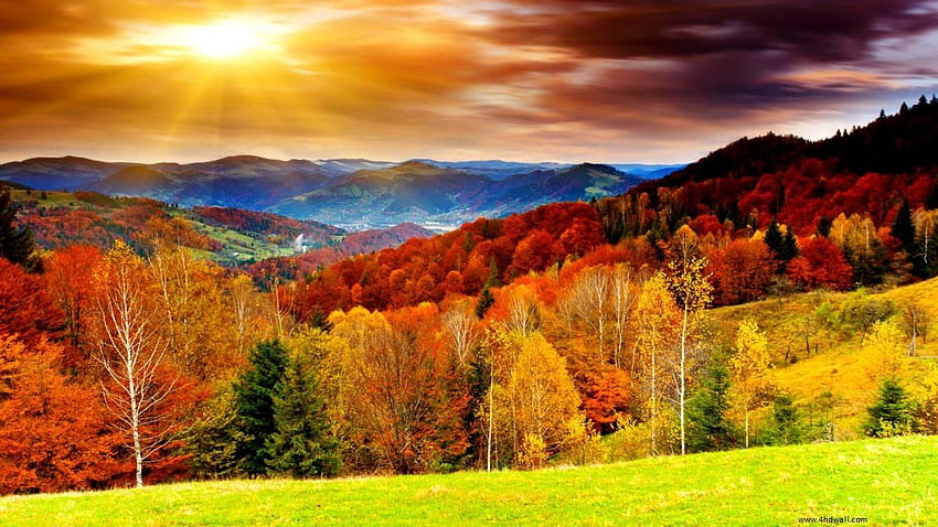 Best of fall season. high definition autumn season, Seasons HD ...