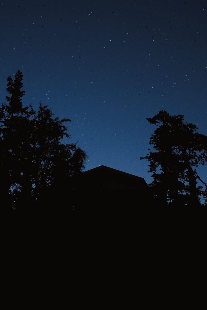Stars, Night, Building, Dark, Silhouette, House HD phone wallpaper