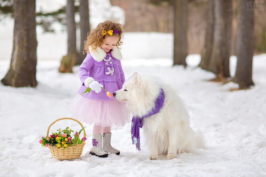 anjing, musim dingin, bunga tulp, putih, gadis, copil, keranjang, berwarna merah muda, bunga, salju, iarna, anak, caine Wallpaper HD