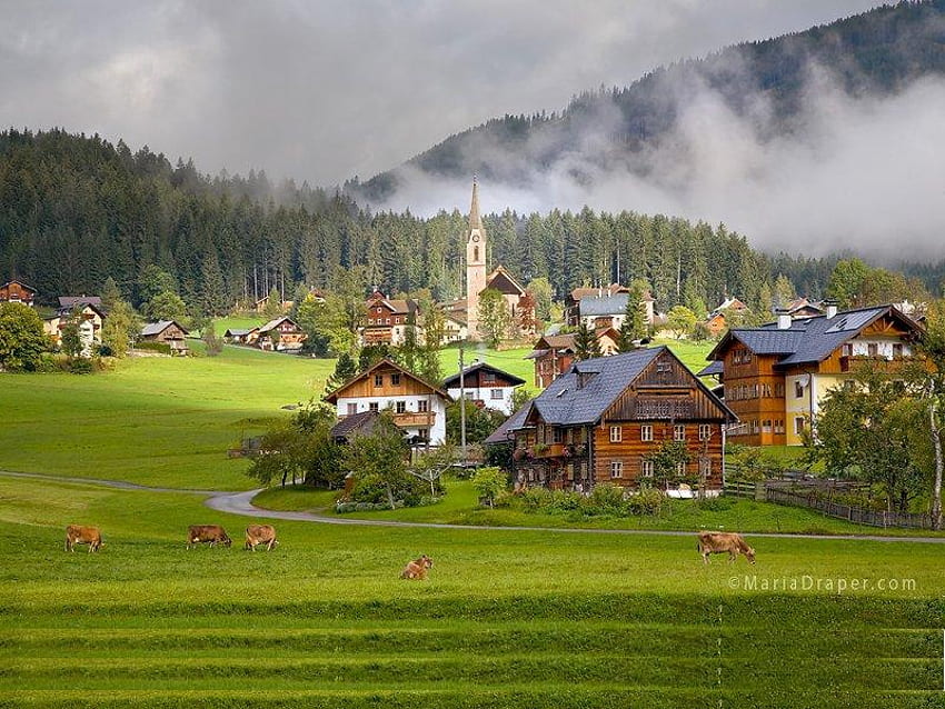 Village sur la colline, maison, herbe, montagne, brouillard, vaches, animaux, vert, arbres, nature, ciel, forêt, colline Fond d'écran HD