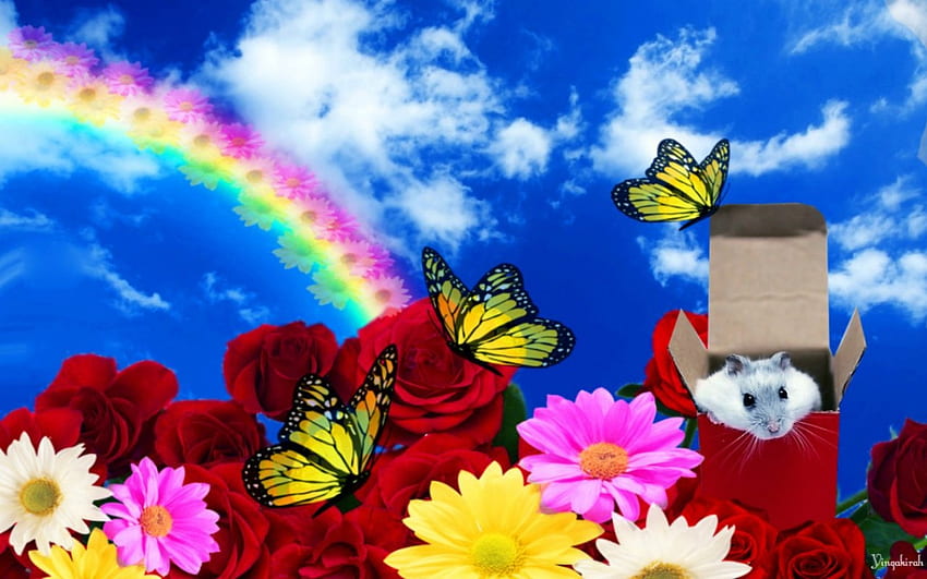 Beautiful day, rainbow, box, mouse, art, flowers HD wallpaper