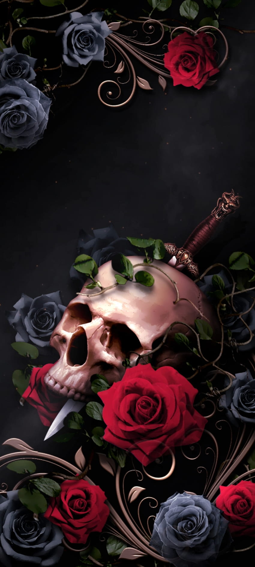 Dark space Rose skull, hybrid tea rose, flash graphy, flowers, premium, black, luxury HD phone wallpaper