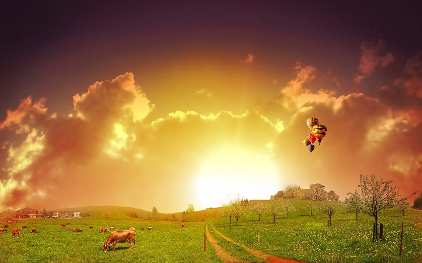 Flying Ballooning at Sunset, horizon, awesome, plants, , nice, customized, trail, balloons, animals, trees, amazing, sun, art, oxen, sunsets, sunrises, coves, flying, beautiful, cows, hop, green, cool, ballooning, nature, fly, sky HD wallpaper