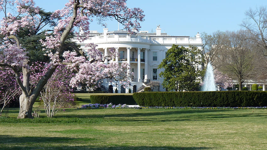 White House . Victorian HD wallpaper
