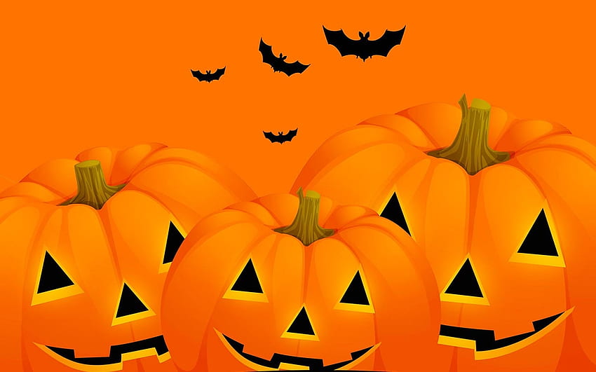 Happy Little Pumpkins, pumpkins, three, orange, bats HD wallpaper | Pxfuel