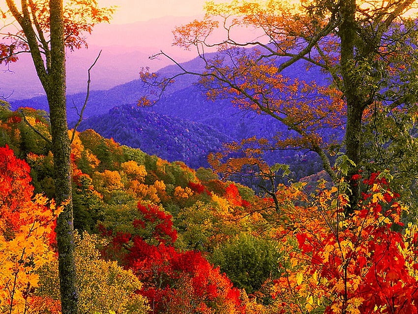 秋のスモーキー山脈、葉、風景、木、色、秋 高画質の壁紙