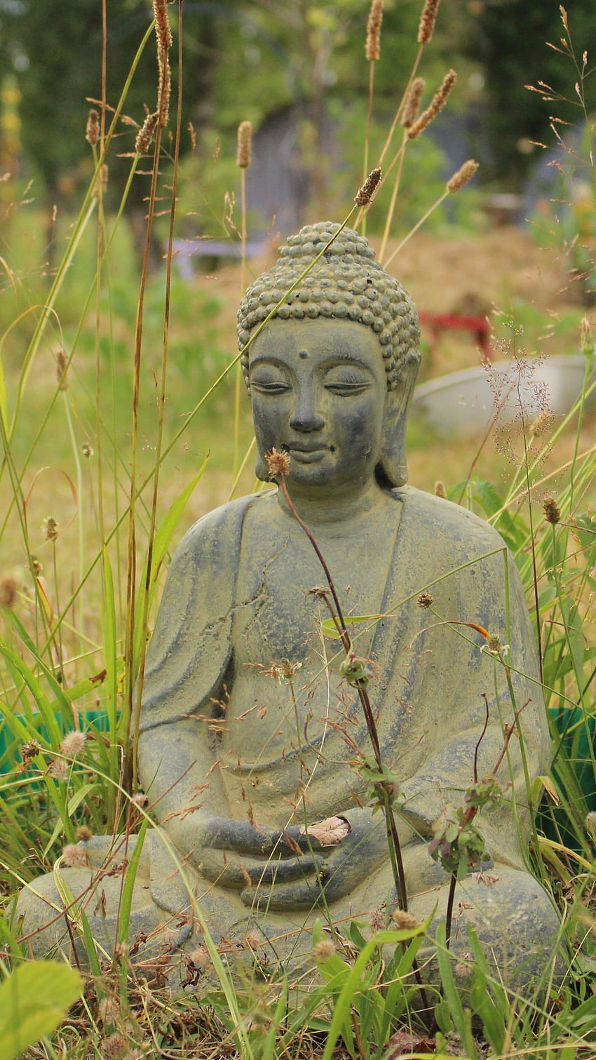 buda, budismo, meditación, hierba q samsung galaxy s6, s7, edge, note, lg g4, Buda verde fondo de pantalla del teléfono