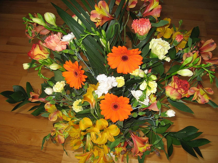 Flowers, Carnations, Gerberas, Bouquet, Composition HD wallpaper | Pxfuel
