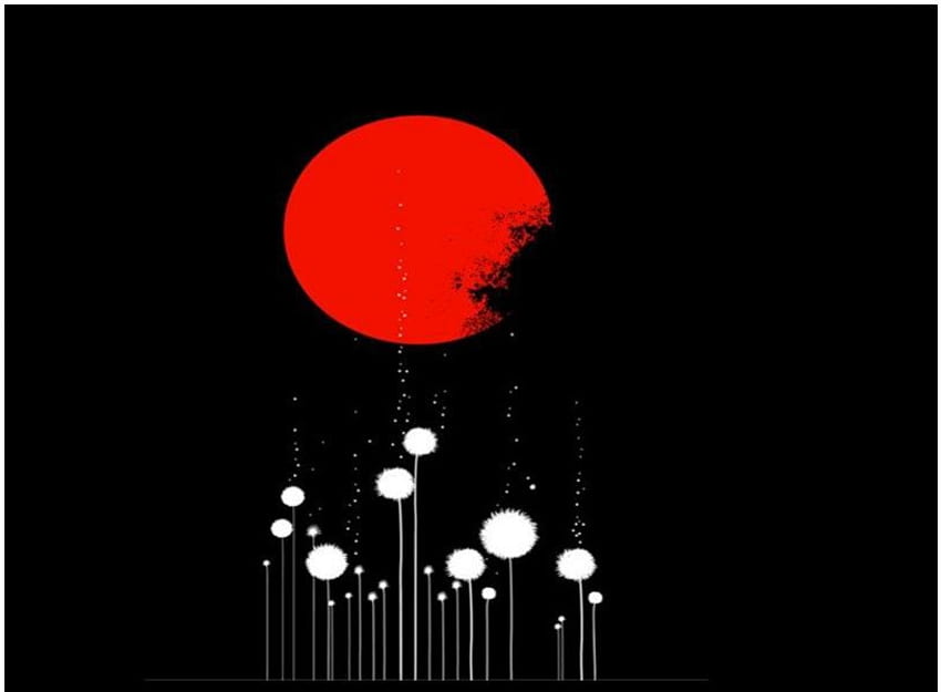Red Moon, night, black, white flowers HD wallpaper
