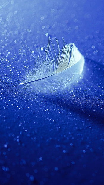 Blue and green feathers HD wallpaper