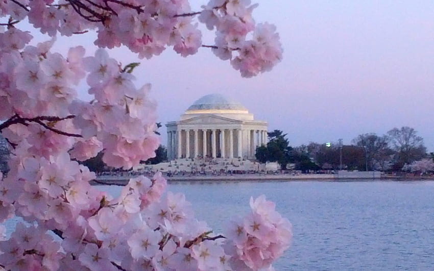 Washington DC Spring HD wallpaper