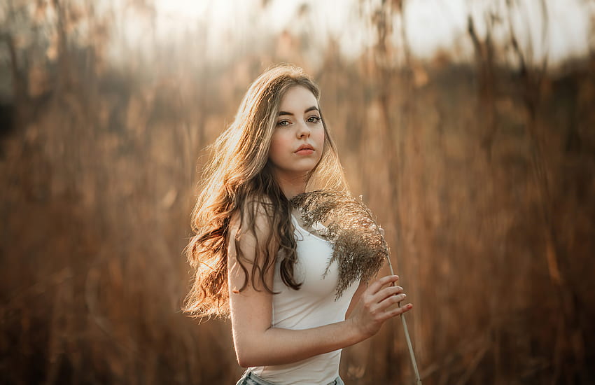 옥수수 밭의 소녀, 금발 및 아름다운 모델 HD 월페이퍼