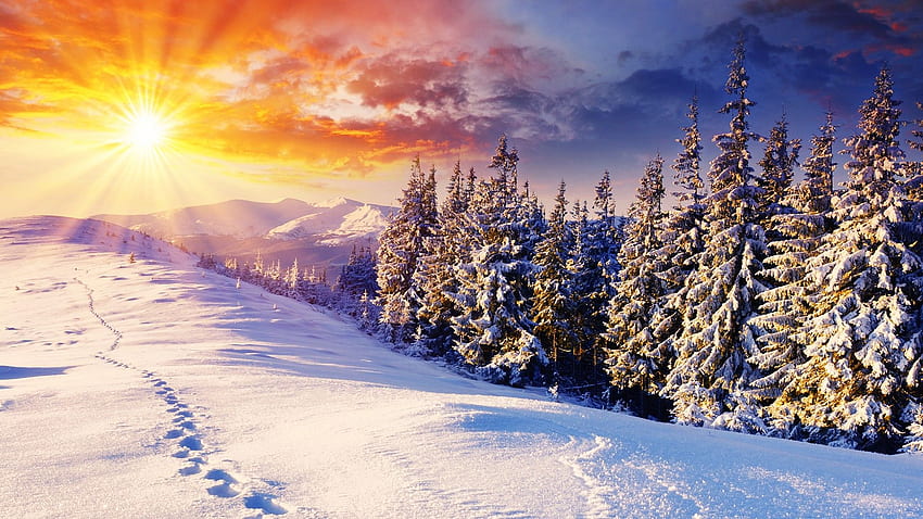 Winter cool background for, High Resolution Winter HD wallpaper | Pxfuel