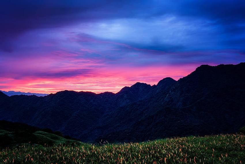 Nature, Flowers, Sunset, Mountains, Clouds, Taiwan HD wallpaper