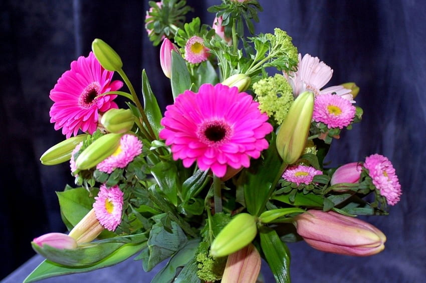 꽃다발, Gerberas, 튤립, 꽃, Bellis HD 월페이퍼