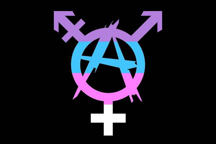 Anarchy Trans Pride HD wallpaper