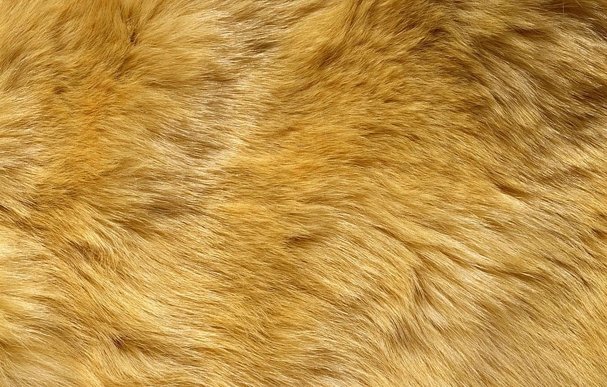 texture, fur, animal texture, background for , section текстуры, Animal Skin HD wallpaper