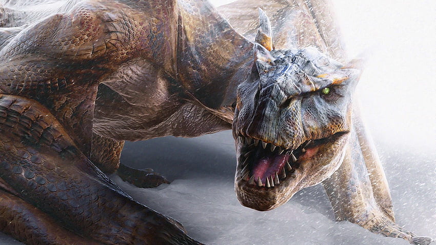 Animals, Dragons, Dinosaurs HD wallpaper