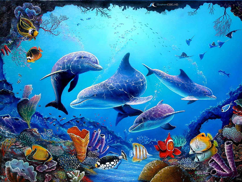100 Dolphin Wallpapers  Wallpaperscom