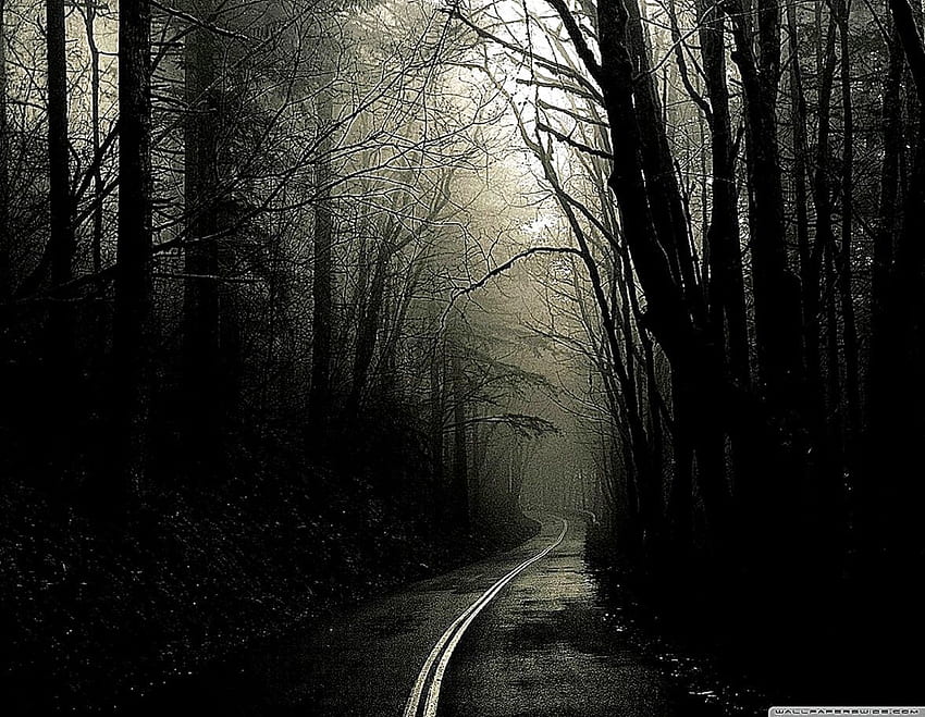 Dark Road Forest High Definition [] for your , Mobile & Tablet. Explore Dark Forest . Black Forest , Dark Woods , Creepy Forest, Dark Highway HD wallpaper