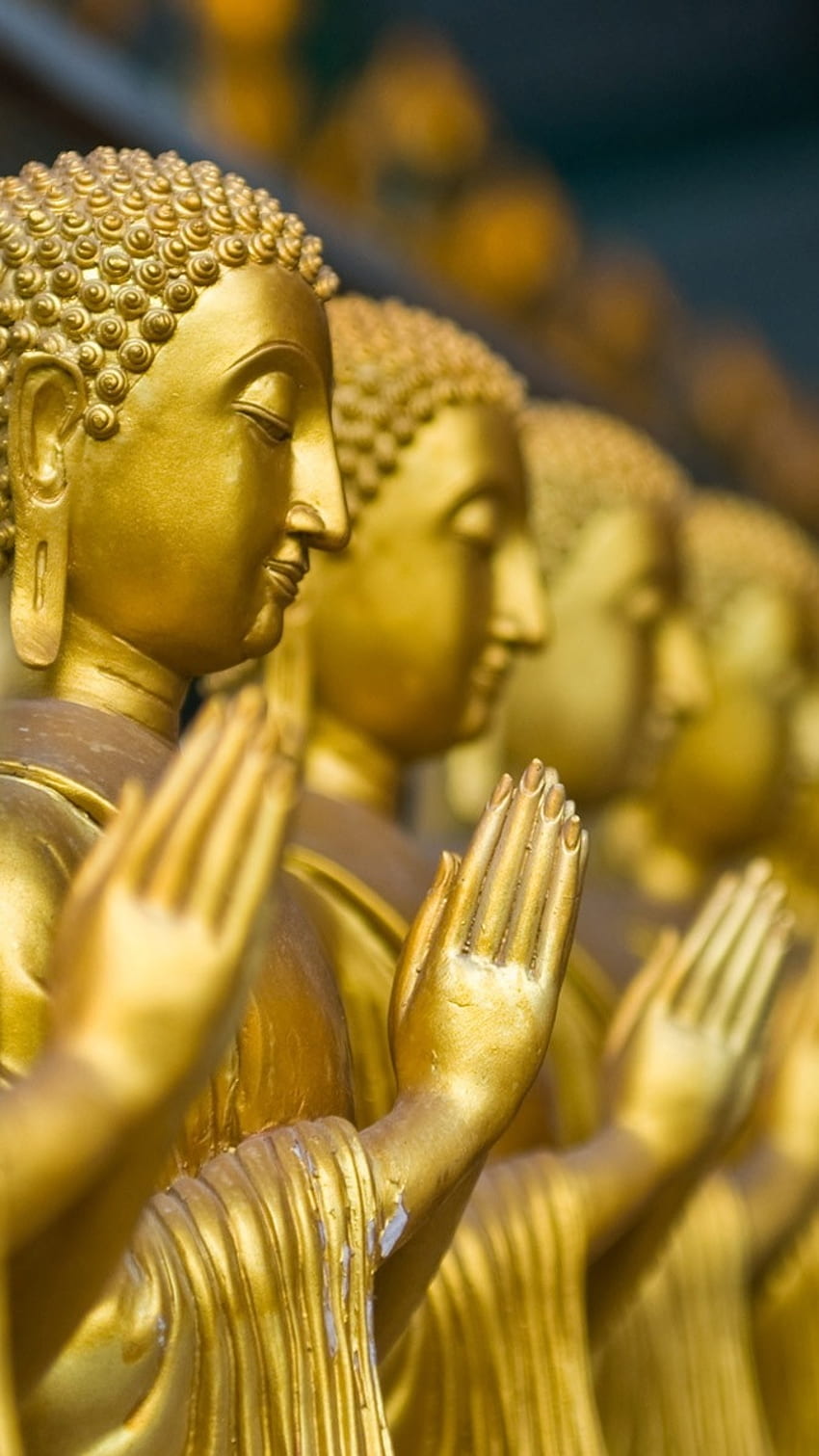 Bhagwan 부처님, 황금 동상, 부처님 HD 전화 배경 화면