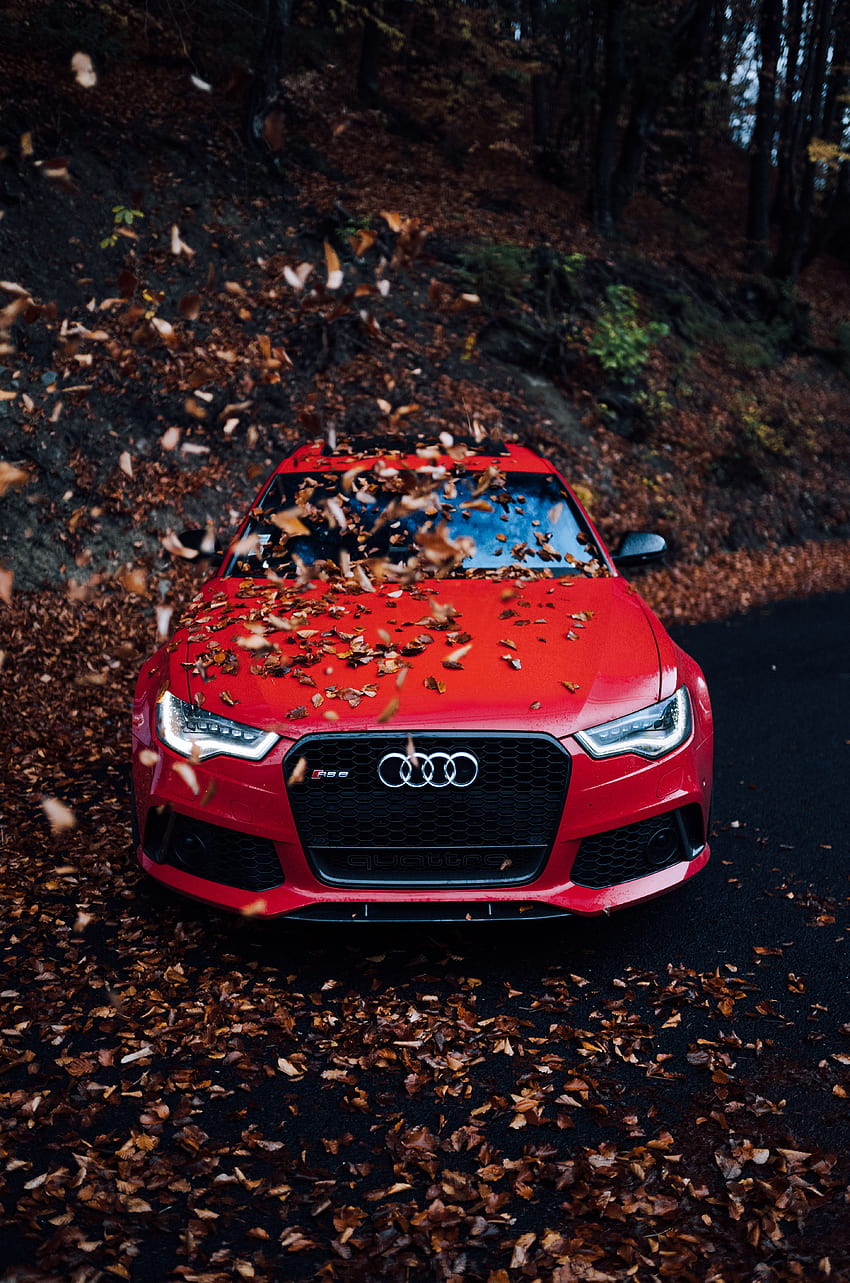 Samochody, jesień, Audi, samochód, widok z przodu, liście, zderzak Tapeta na telefon HD
