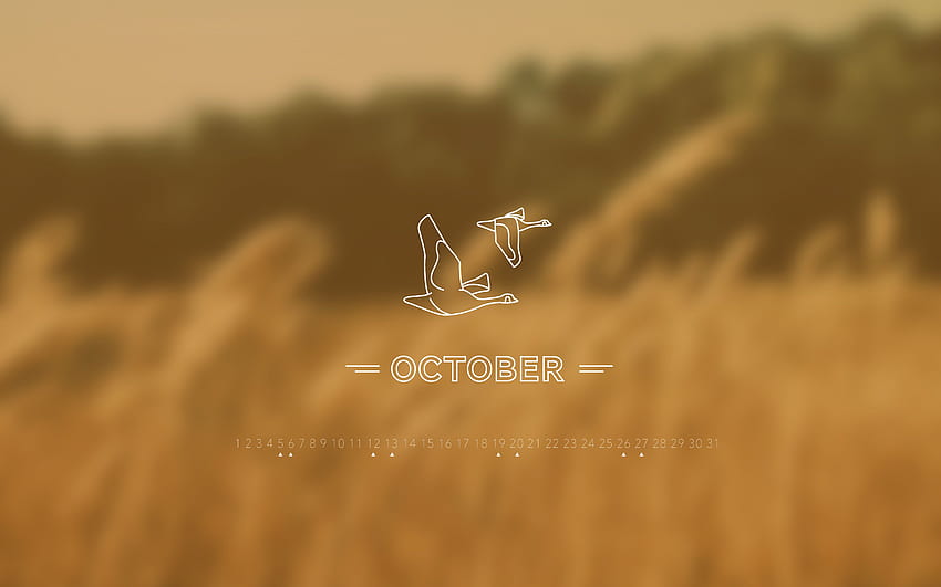 Kalendarz październik 2013 . Projekt liścia papieru Tapeta HD