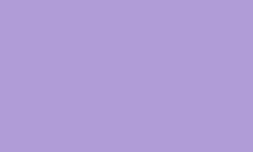Background Purple Plain, Square Purple HD wallpaper