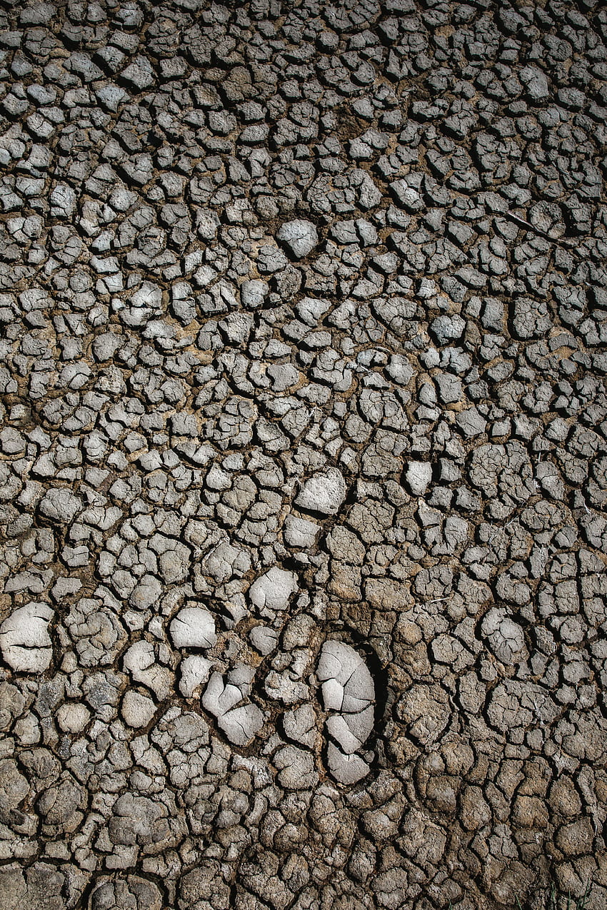 Texture, Textures, Surface, Earth, Land, Dry, Cracks, Crack, Drought HD phone wallpaper