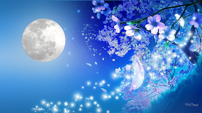 벚꽃의 밤 671662 - 애니메이션의 밤 벚꽃, 애니메이션 사쿠라 HD 월페이퍼