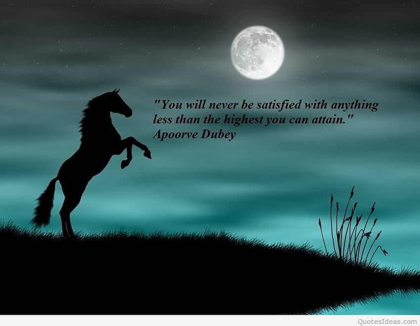 Best inspirational quotes, Horse Quotes HD wallpaper