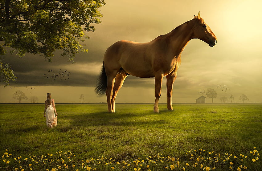 Horse, Teen girl, Dream, Landscape, Atmosphere HD wallpaper