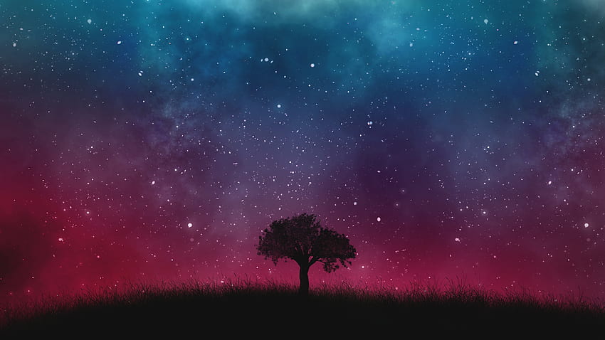กลางคืน เวกเตอร์ ไม้ ต้นไม้ ท้องฟ้าเต็มไปด้วยดวงดาว วอลล์เปเปอร์ HD
