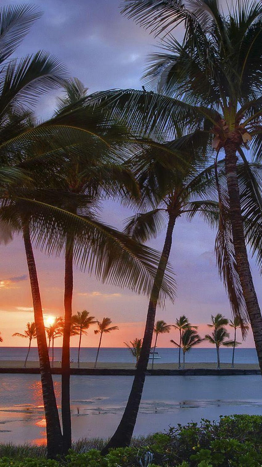 Hawaiian sunset Sunset USA Hawaii Beaches Palm, Hawiian iPhone HD phone wallpaper