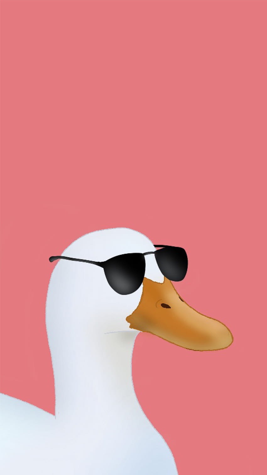 Page 2 | funny duck HD wallpapers | Pxfuel