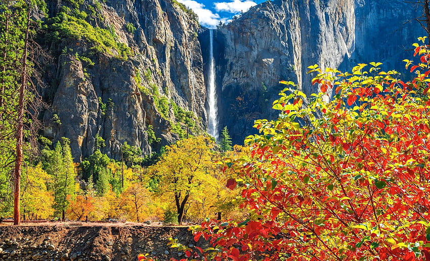 Bridalveil falls in autumn, waterfall, autumn, beautiful, Yosemite, rocks, mountain, colorful, fall, national park, view, branches HD wallpaper