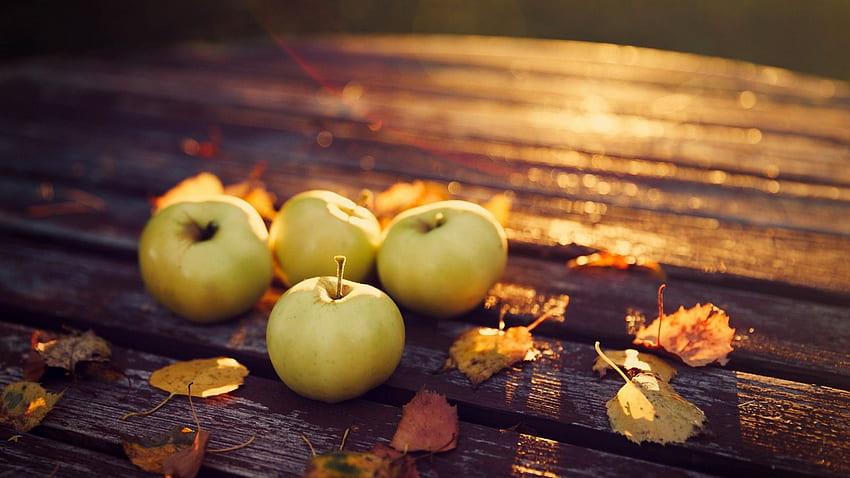Реколта от ябълки Есен - HD тапет