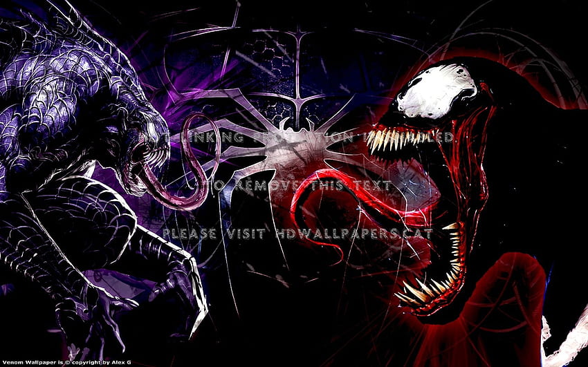 the rage of venom spider vemon web abstract HD wallpaper