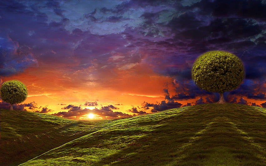 Open Sky Sunset, green, trees, sky, nature, grass, sun, sunset HD wallpaper