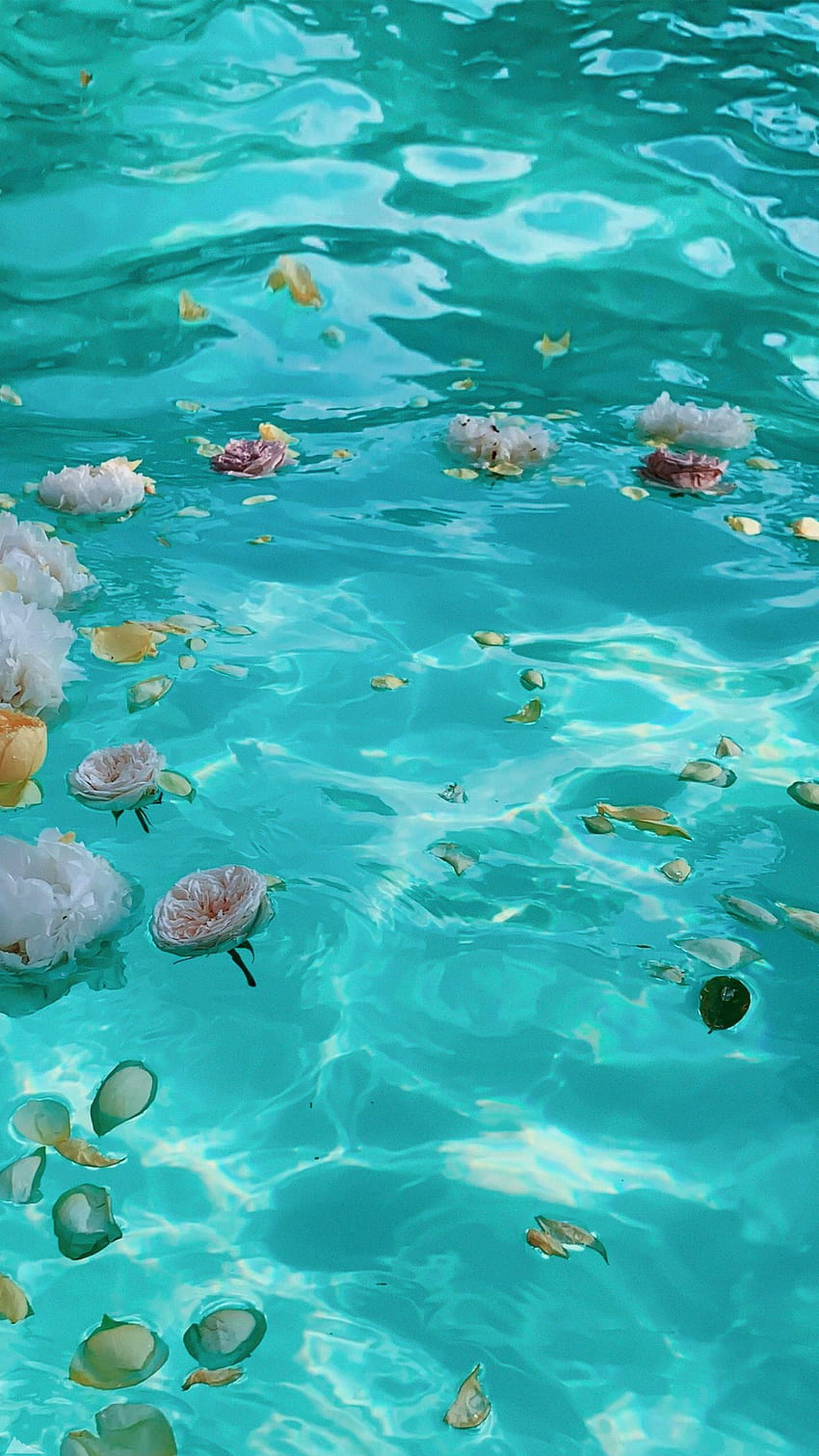 Blumen im Wasser. Wasserästhetik, blaues ästhetisches Pastell, türkisfarbene Ästhetik, Unterwasserblumen HD-Handy-Hintergrundbild