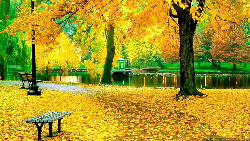Taman musim gugur, bangku, emas, kota, musim gugur, Cantik, berjalan, taman, Daun-daun, istirahat, pohon, musim gugur, kolam, dedaunan Wallpaper HD