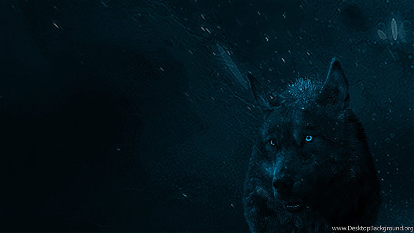 Blue Wolf Imgur Background, Neon Blue Wolf HD wallpaper