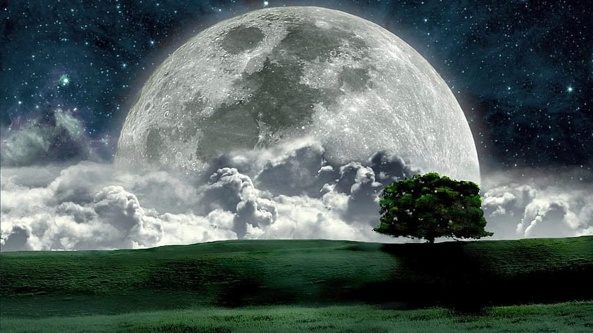 Beautiful Full Moon, romantic moon HD wallpaper | Pxfuel