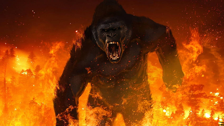 King Kong, roi des gorilles Fond d'écran HD