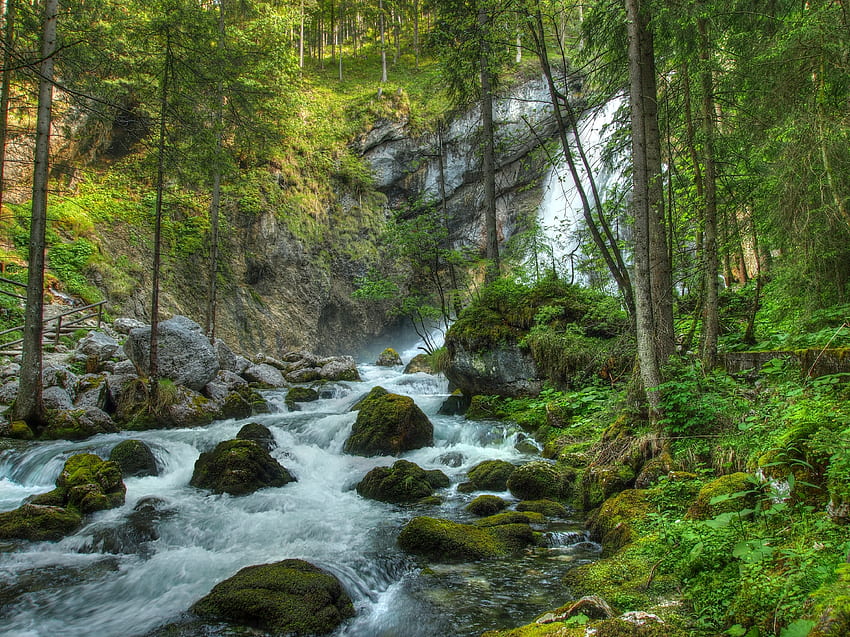 Wald, Landschaft, Natur, Flüsse, Steine, Wasserfall HD-Hintergrundbild