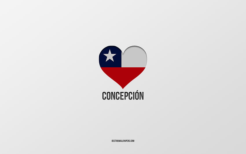 I Love Concepcion, Chilean cities, Day of Concepcion, gray background, Concepcion, Chile, Chilean flag heart, favorite cities, Love Concepcion HD wallpaper